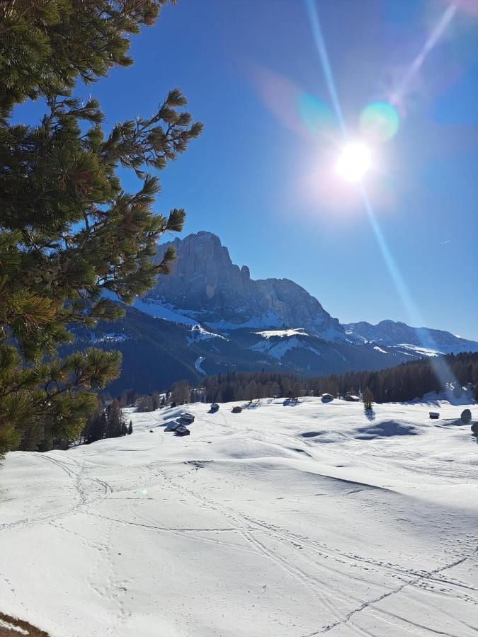 Residence Casa Metz Santa Cristina Val Gardena Екстер'єр фото